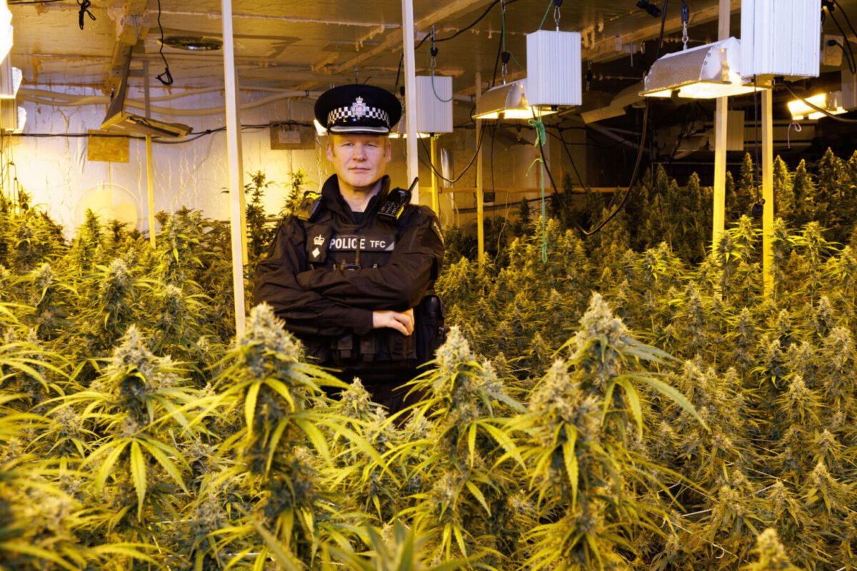 THE LEGAL STATUS OF CANNABIS EDIBLES IN THE UNITED KINGDOM